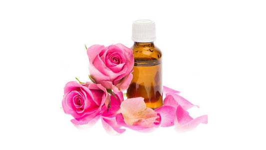 Ätherisches Lakpura-Rosenöl (15 ml)