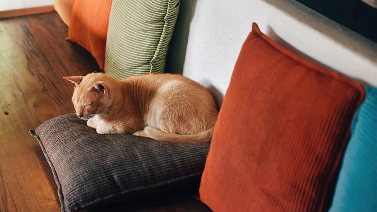 Handgefertigte Kissenbezüge