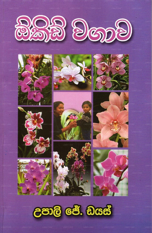 Orchidee Wagawa 