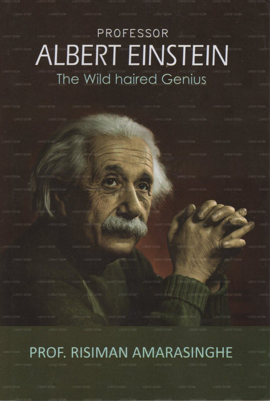 Professor Albert Einstein (Das wildhaarige Genie)
