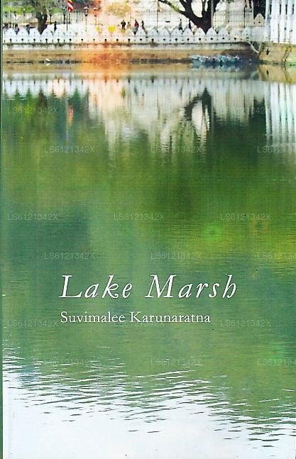 Lake Marsh 
