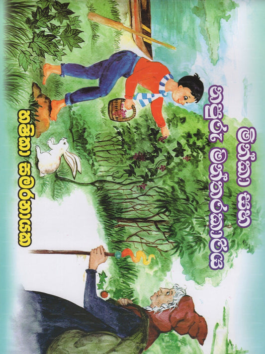 Minka Saha Napuru Mantharakariya 