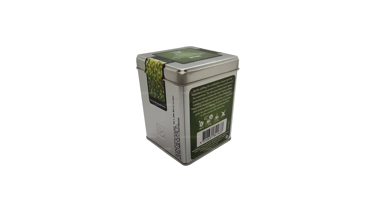 Dilmah T-Serie Marokkanischer Minz-Grüntee (40 g)