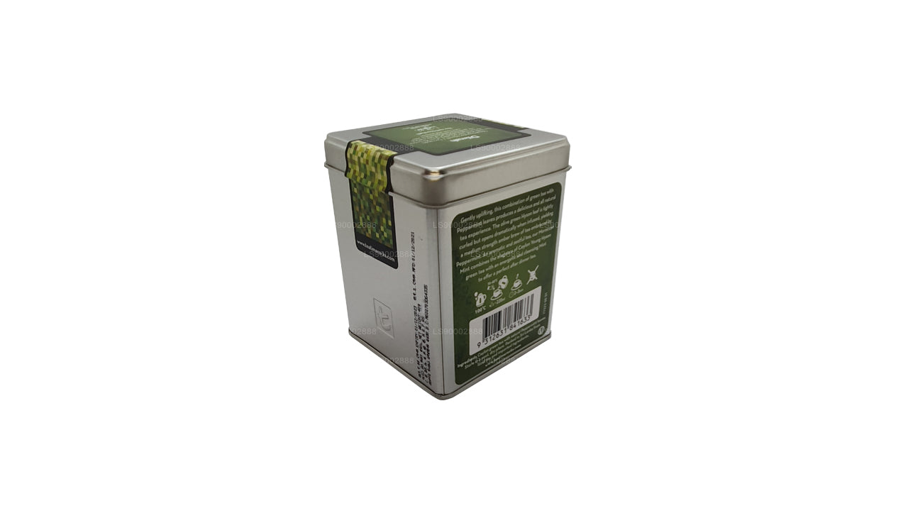 Dilmah T-Serie Marokkanischer Minz-Grüntee (40 g)