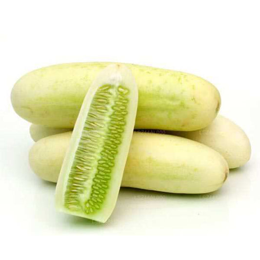 Gurke - පිපිඤ්ඤා (500g)