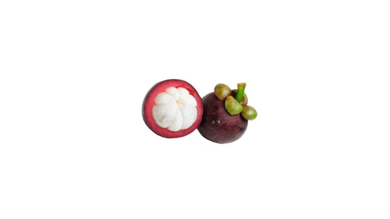 Lakpura Mangostan (Mangus) veredelte Pflanze