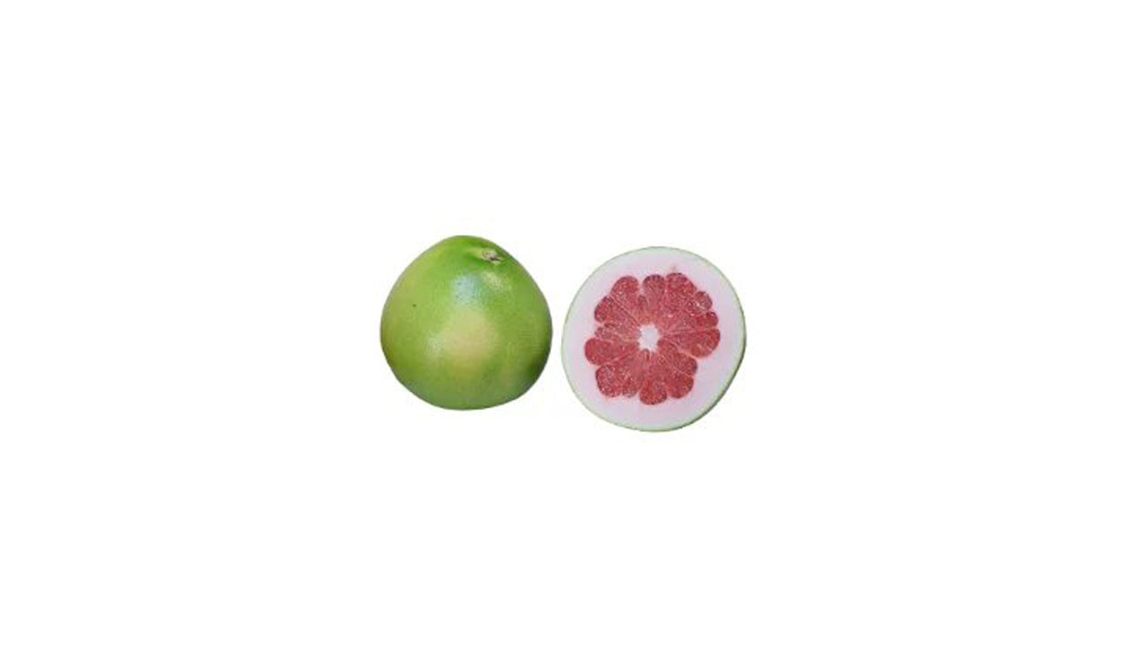 Lakpura Rote Pomelo (Jambola) Fruchtpflanze