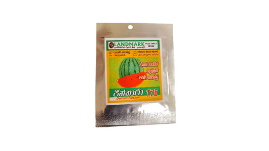 Lakpura-Süßwassermelone (Jintara) Gemüsesamen