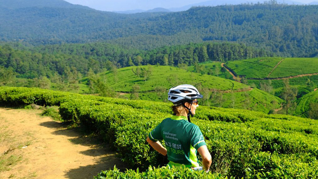 Nuwara Eliya Highlands Radtour ab Kandy
