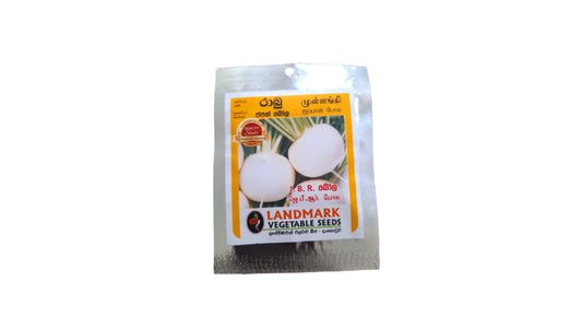 Lakpura Rettich (Japan Bola) Samen