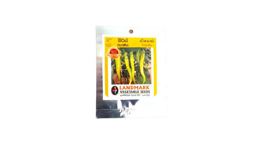 Samen von Lakpura-Chilis (Varaniya-Chili).